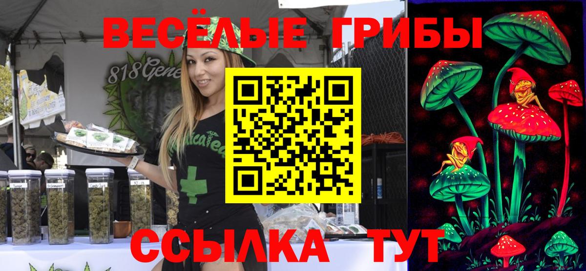 Псилоцибиновые грибы мицелий Южно-Сахалинск