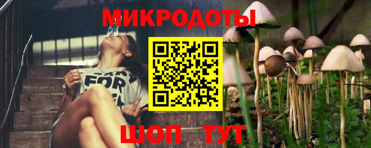Южно-Сахалинск  Псилоцибиновые грибы мицелий  Вход с VPN 